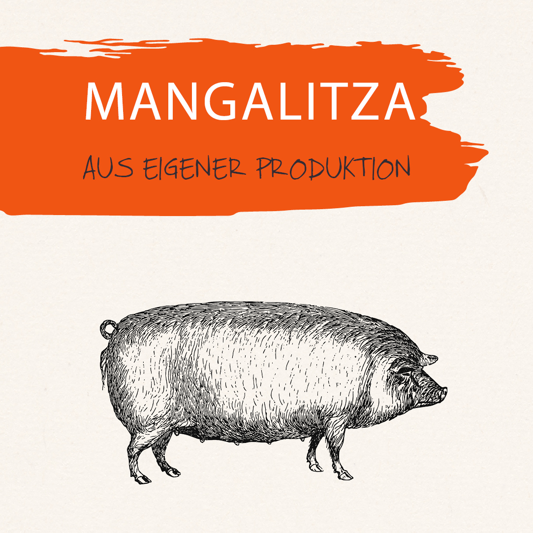 Wo's den Mangalitza-Schweinen gut geht
